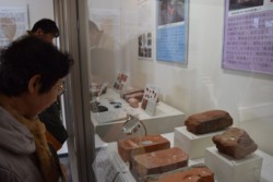 �o�y���������K�Ɍ��w�҂������[��