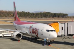 1���U���A���h���܂��Ƌ�`�ɓ��������e�B�[�E�F�C�q��̃{�[�C���O�V�R�V�^�@