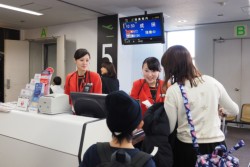 �F�{��`�ł̓���葱���B���w�����w�N�y�ѕی�҂P�Q�g�Q�S�l���Q������