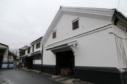 ���揬���U���ڂ̕l�c�ݖ��B������̌����͂O�V�N�ɍ��̓o�^�L�`�������Ɏw�肳��Ă���