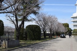 JR�L��������ɐA�͂��ꂽ�\���C���V�m12�{�����C�g�A�b�v���Ă���