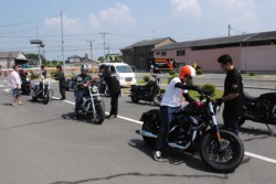 ����Ԃ͂e�w�r�a�A�e�w�c�k�r�A�e�k�g�q�w�r�ȂǂX��