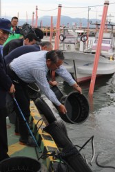 �L���C�ɐe�E�i�M��������錧�{�V�����̊֌W��