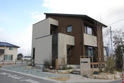 �����������f���n�E�X