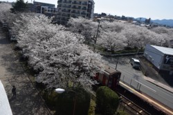 JR�L��������ɐA�͂��ꂽ�\���C���V�m12�{�����C�g�A�b�v���Ă���