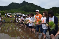 �숢�h�̑厩�R�ɐG��Ȃ���̓c�A���ɏ΂݂����ڂ��Q����