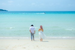 �{�Ó��ł̃t�H�g�E�G�f�B���O