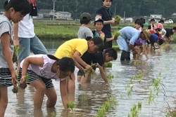 �ؑ��̑n�ƂU�T���N�L�O���Ƃ̈�Ŋ�悵���_�Ƒ̌��œc�A�������锒�����̐��k