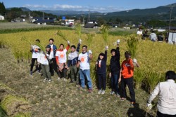 �숢�h�̑厩�R�ɐG��Ȃ���̈��ɏ΂݂����ڂ��Q����