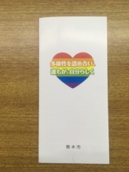 2���ɒj�������Q��ۂ�LGBT�Ȃǂ̐��I�}�C�m���e�B�̗��𑣐i�Ɍ����Ĕ��s�������[�t���b�g