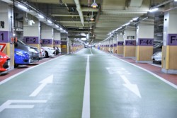 �k�d�c���ƃJ�����ɂ��h�Ɛ��E���S���̌�����}����