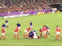 �E�F�[���Y�i�Ԃ��W���[�W�j�w�ɍU�ߍ��ރt�����X��\