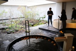 �뉀�I�V���C�B��O�̕��C�ɂ͌F�{�Y�̃f�R�|����������ł���