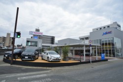 ���j���[�A���I�[�v�������u�l�b�c�X�N�G�A��F�{�X�v