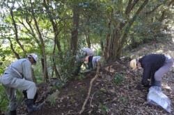 �e���ɕ�����p������P�����鋦���