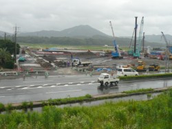 7�����瑢���H���ɒ��肵���R�X�g�R�B��O�������S�S�T��,���͔ѓc�R����431��