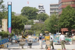 ���N�x�����Ɍ����F�{�s���������Ă���Ԕ�����т́u�V���{���v�����i�[�h�v�B�����ŏ�O�n��̂ɂ��킢�n�o�����҂���Ă���