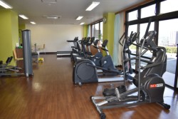 �P�P��ނ̃g���[�j���O�}�V�[����ݔ�