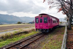 ���n��Z���̌�ʂ̑��Ƃ��Č������Ȃ��숢�h�S���B�i�q����Éw�ւ̒��ڏ�����ɂ͊��҂��傫��