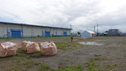 ����`�O�`�n��̓��q�Ɍ��ݗ\��n�����s�哇��