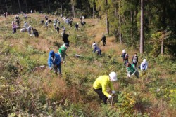 �ď�ɖ΂����G���������Ă����Q����