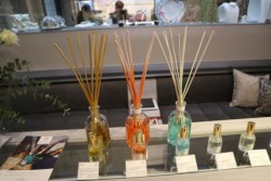 �u�h�b�g�[���E�����j�G�X�v�̃t���O�����X