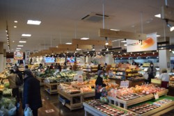 ���В������u���܂����v