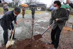 �A���Z�����j�[�����鑁���Əo�c�w��