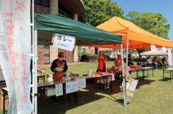 �����ŗp�ӂ��ꂽ�J���[�A���ǂ�A����Ȃ�