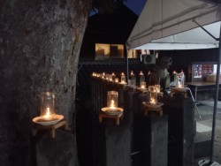 �[���̋������Ƃ炷�������̓���