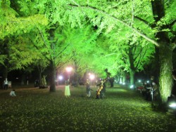 ��300�l���Q���������C�g�A�b�v�_����