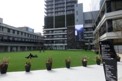 �L�꓌������R�~���j�e�B�[����]��