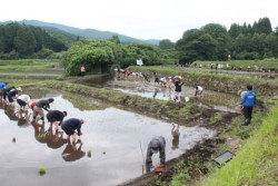 N͂XƁEćAVl̐cI[i[RTOlQ