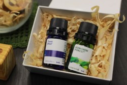 ͓ӊVЂ̂ICuh␐X\ugXgu[vijƁAVЂ̂EICȂǂŐ[΂̍\uт̐Xv