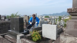 n̎G͑ȂǂWߐ|F{s΍ޏHƑg̑g