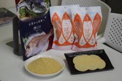 SDG ̎g݂̈ƂĊJ}_C̍pׂuςv