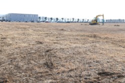 bHn܂P{́ucohVRqYF{vJniv钬JjB͂rbqddmz[fBOXF{Ə