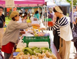 オーガニック食材や加工品、雑貨などの店舗が並んだ「オーガニックマルシェ」