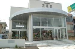 ���_���e�C�X�g�̐V�X��