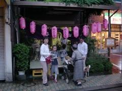 �V���q���n���O�̗l�q