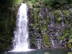 �����Q�O���[�g���̔����̑�