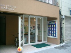 �u�^�s�L���O�@���؍�X�v�̊O��