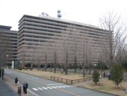 �F�{�s���O���̌���