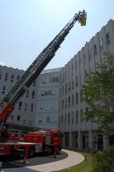 ���h�P���͍��N4���Ɋ��������V�a���u������فv�ōs�����B�ʐ^�͂͂����Ԃɂ��~���P���̗l�q