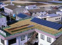 本社ビル屋上には太陽光発電パネルを設置。空きスペースには緑化も施している。