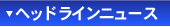 �w�b�h���C���j���[�X